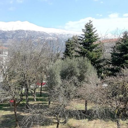 Apartament Gks Park View Janina Zewnętrze zdjęcie